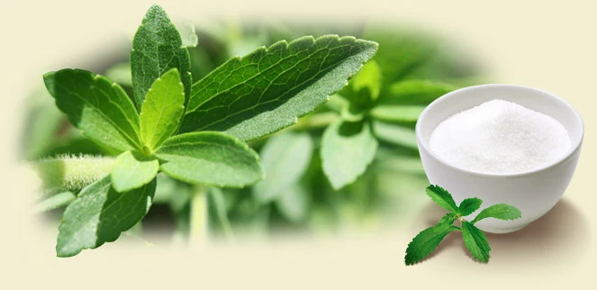 Organisk Brasil Stevia